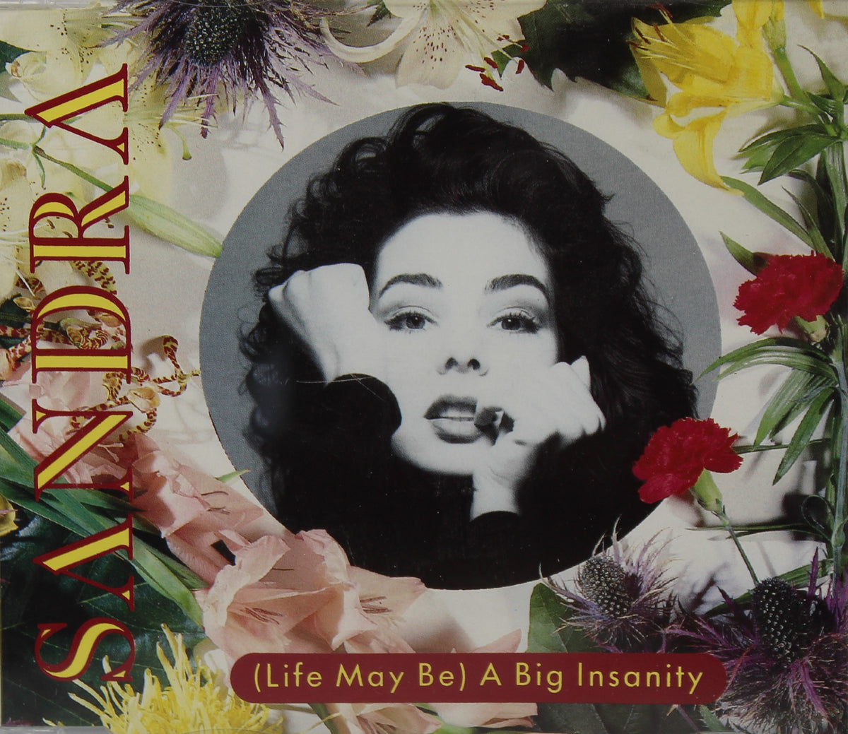 Sandra – (Life May Be) A Big Insanity, CD, Single, Stereo, UK 1990