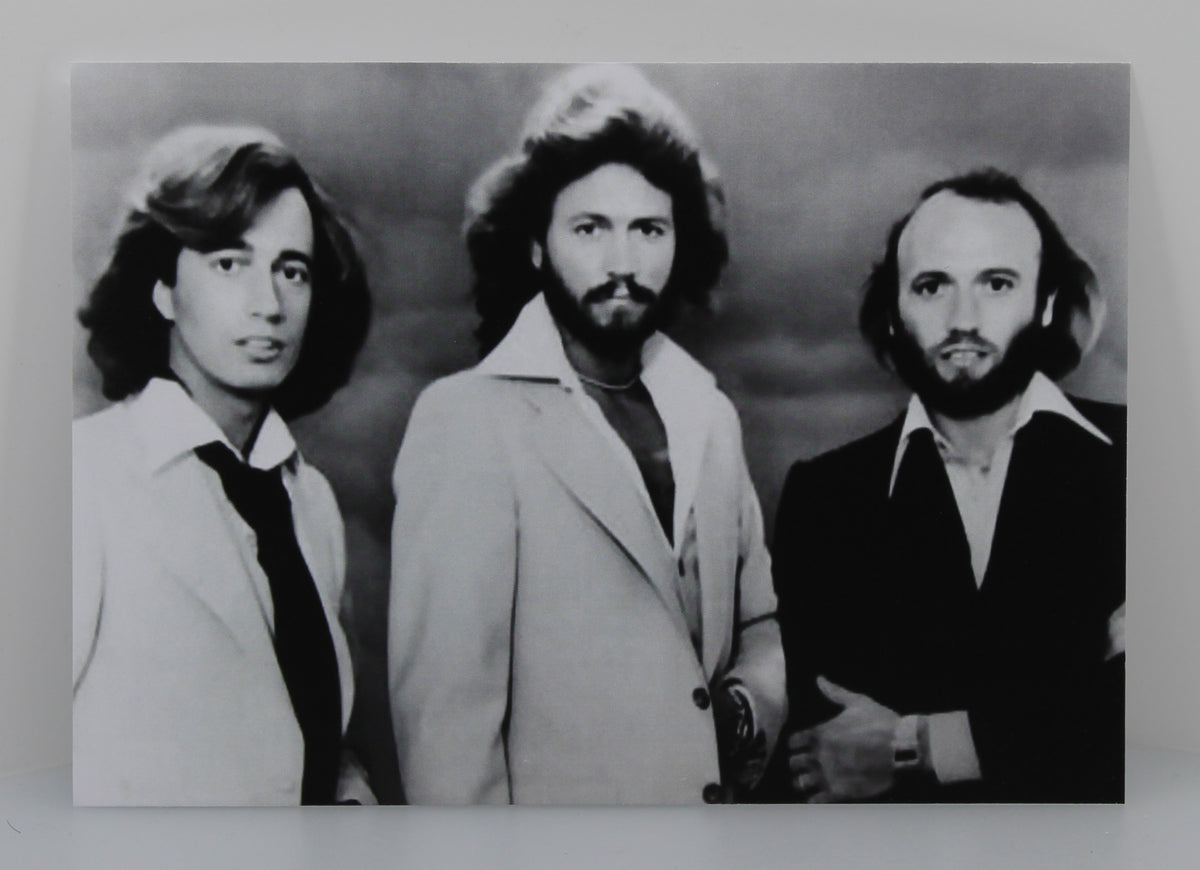 Bee Gees – &quot;Spirits Having Flown&quot; The Mix Demos, Vinyl Album,