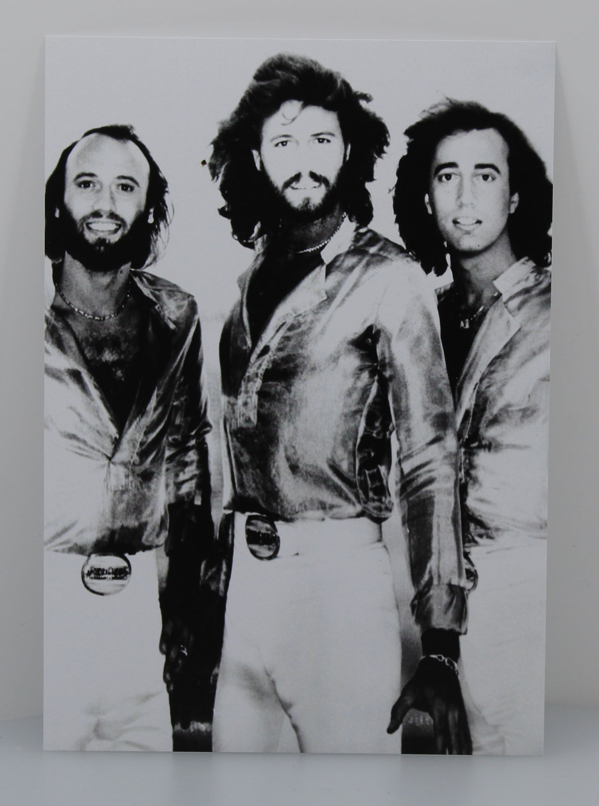 Bee Gees – &quot;Spirits Having Flown&quot; The Mix Demos, Vinyl Album,