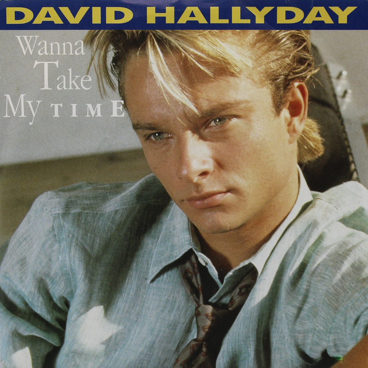 David Hallyday ‎– Wanna Take My Time, Vinyl, 7&quot;, 45 RPM, Single, Germany 1989 (Various diff)