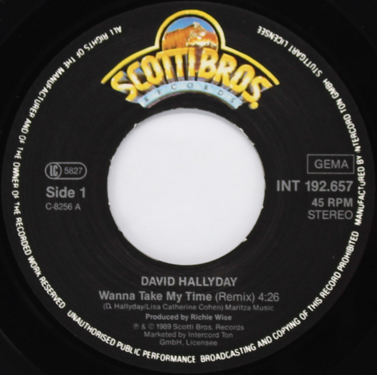 David Hallyday ‎– Wanna Take My Time, Vinyl, 7&quot;, 45 RPM, Single, Germany 1989 (Various diff)