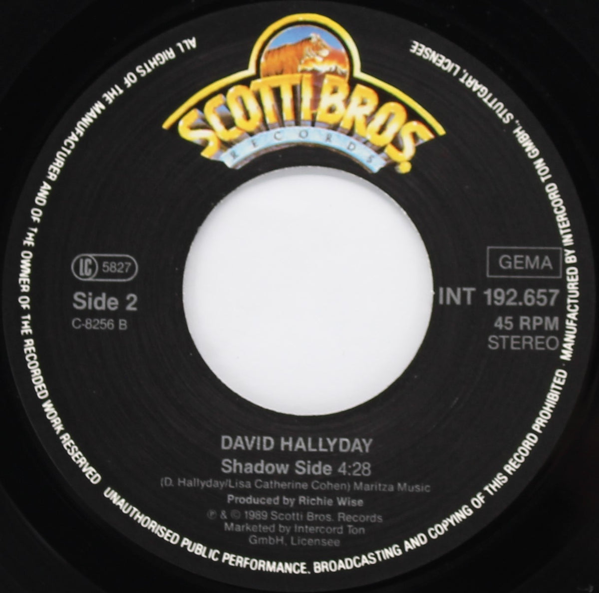 David Hallyday ‎– Wanna Take My Time, Vinyl, 7&quot;, 45 RPM, Single, Germany 1989 (Various diff)