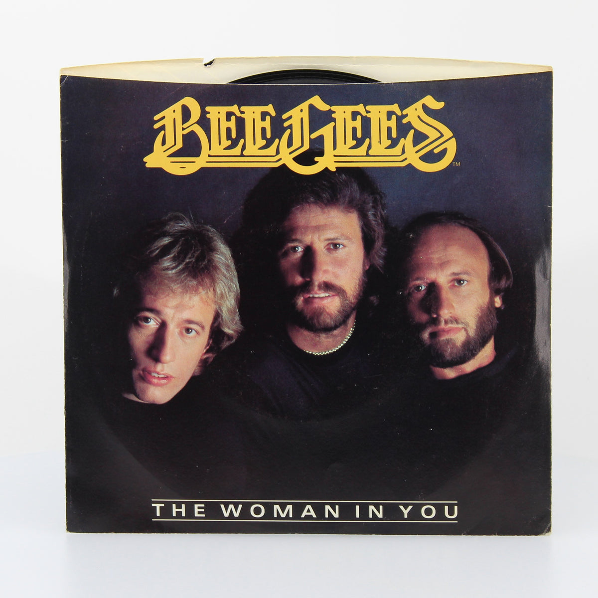 Bee Gees - The Woman In You,